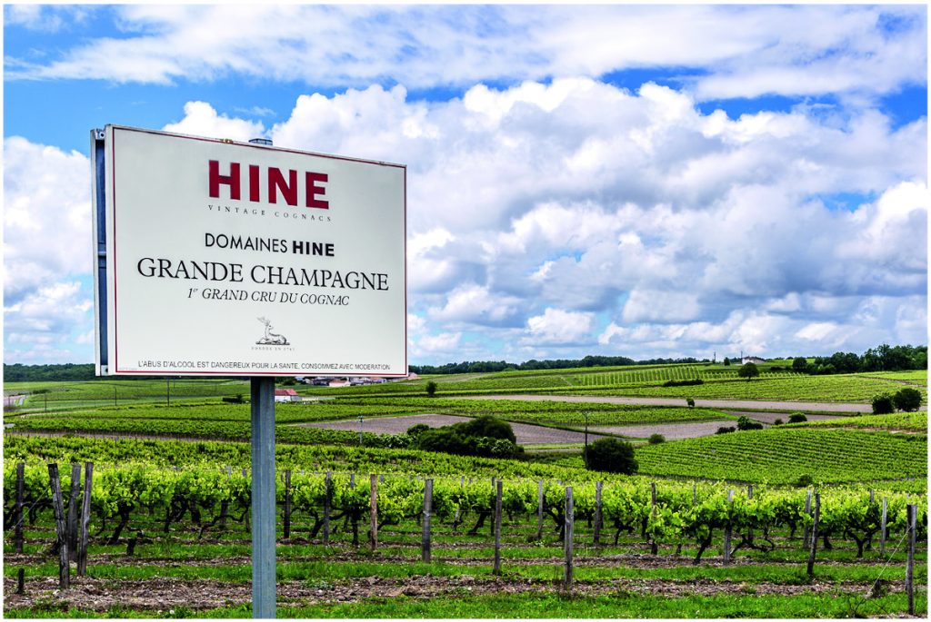 Domaines-HINE-Vineyards