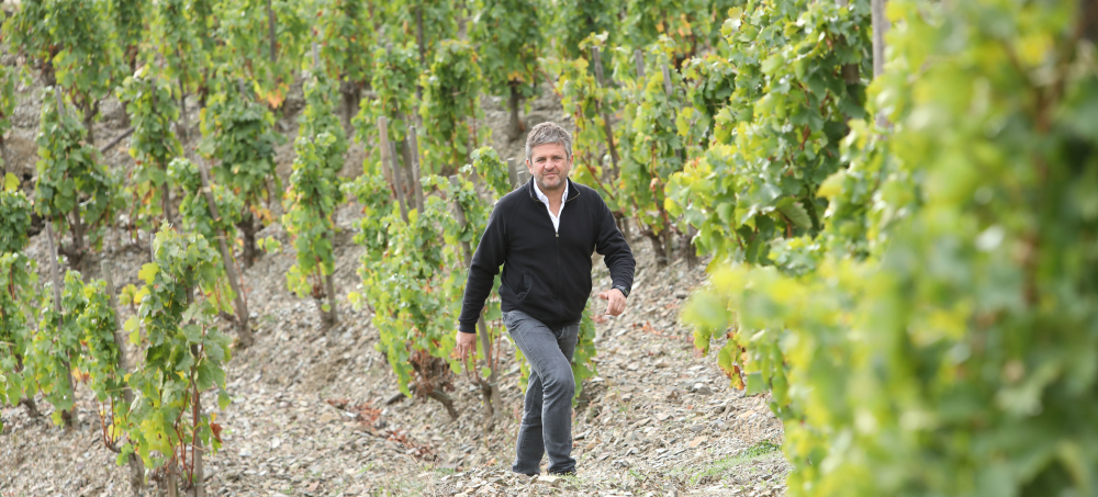 Alvaro Palacios in vineyard