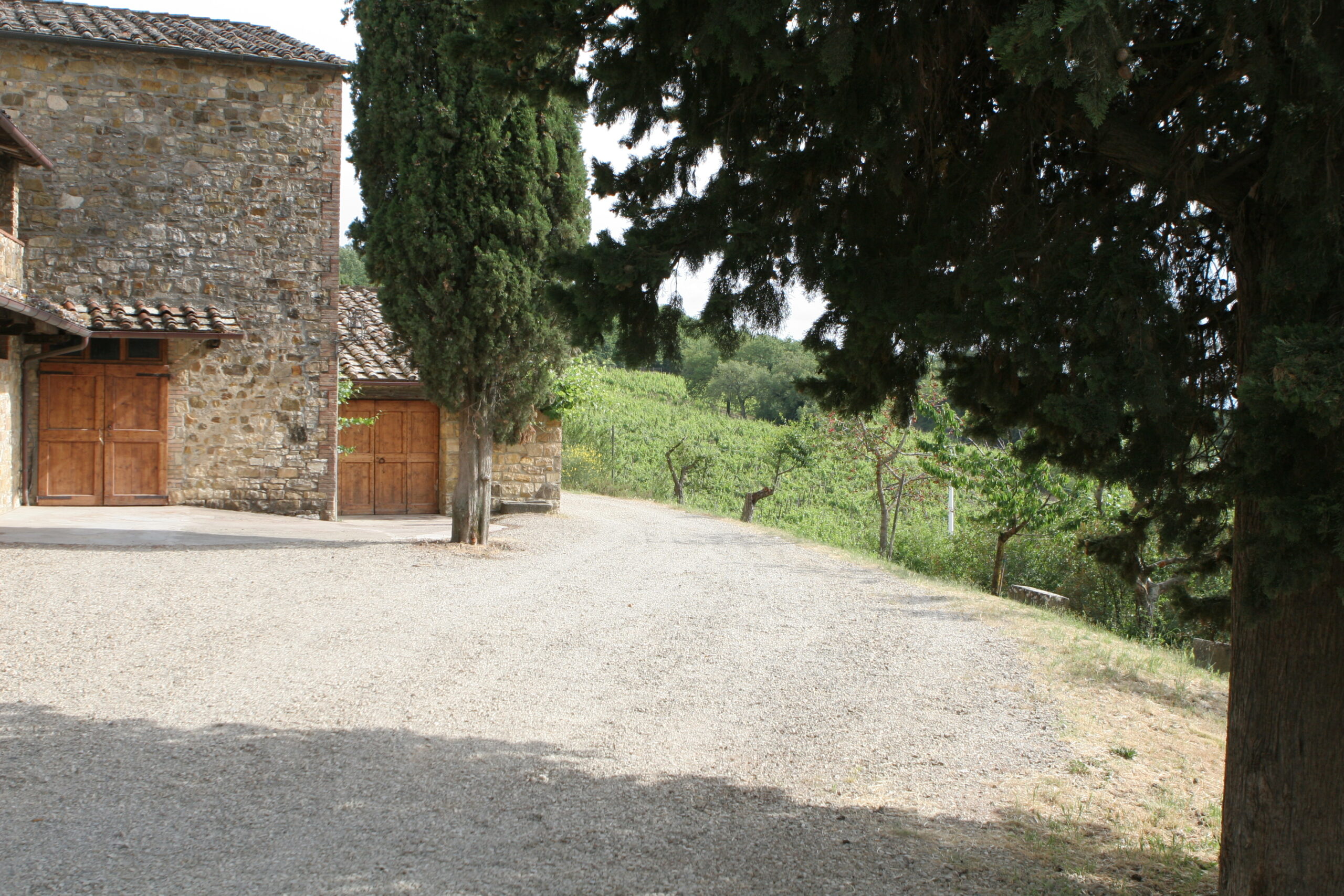 castellare di castellina winery vineyards