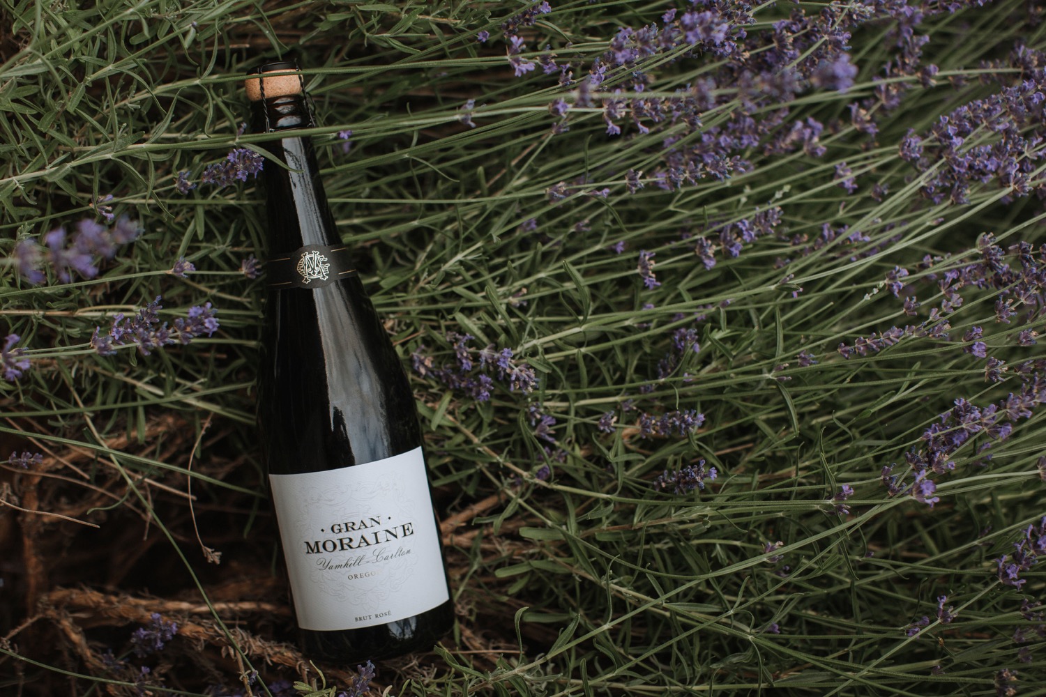 gran moraine bottle in vineyard