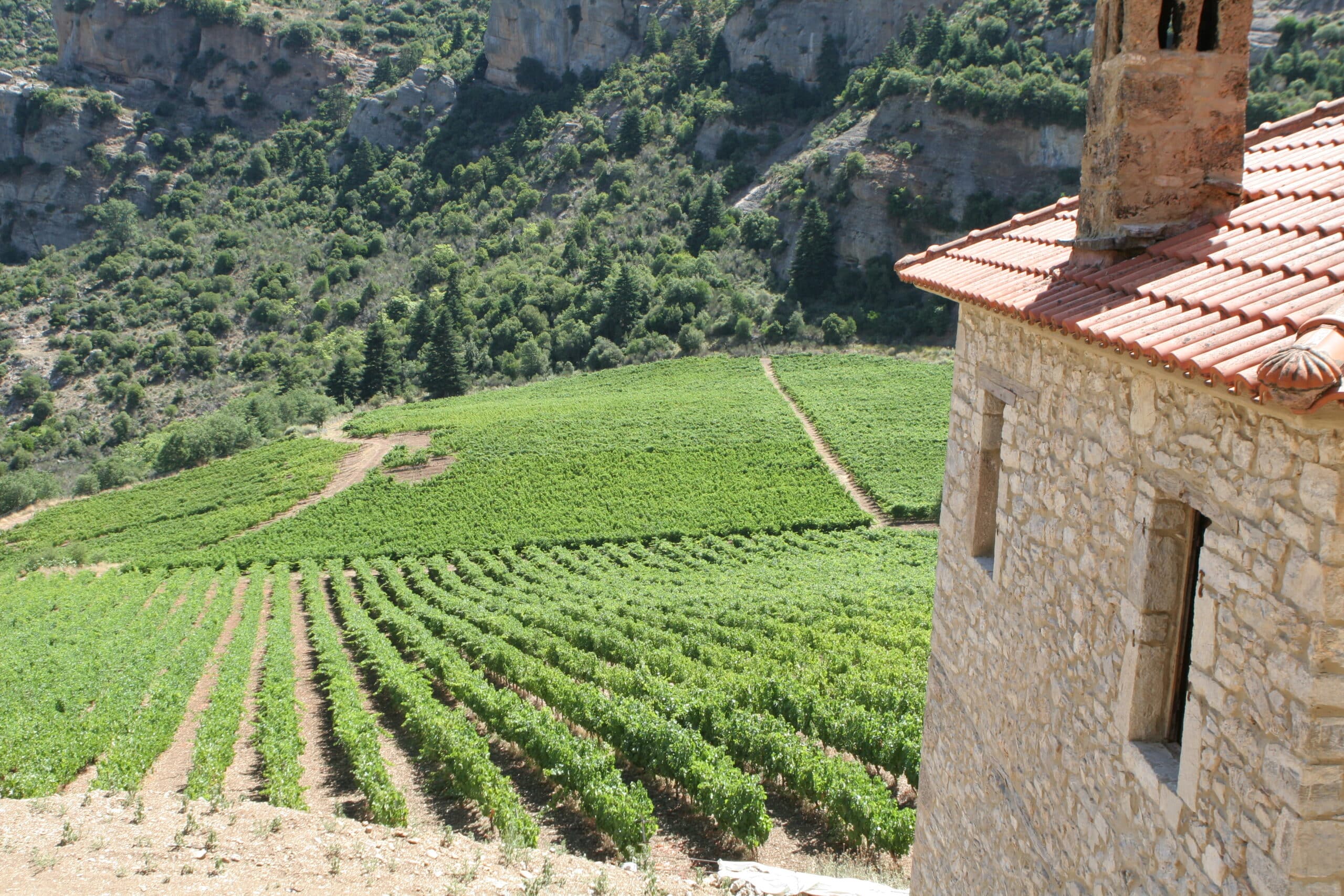 Mega Spileo Vineyards with building