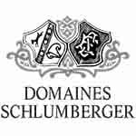 Logo Domaines Schlumberger